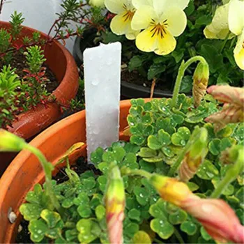 Könnyen tisztítható Magas Minőség Vízálló Új Udvar Növény Kategória Növény Címkék Címkék, Fehér Műanyag 100 DB 5*1cm Kép